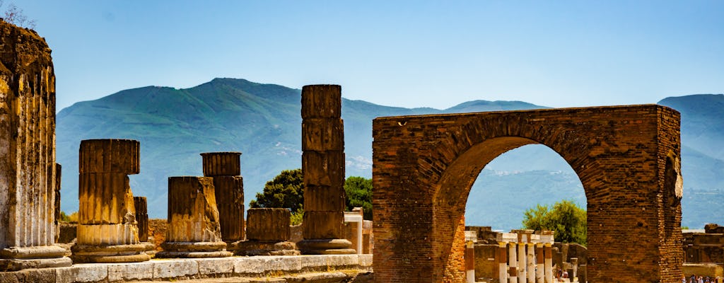 Visita guidata privata di 2 ore a Pompei con un archeologo