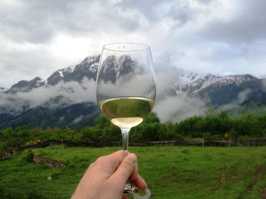 Group day wine tour in Mtskheta region