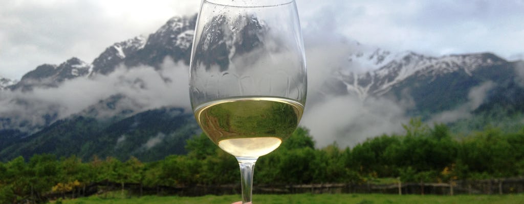 Groepsdag wijntour in de regio Mtskheta