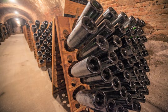 Wine-tour en Champagne de Paris
