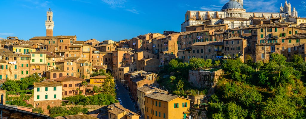 Tour a pé por Siena com um guia privado