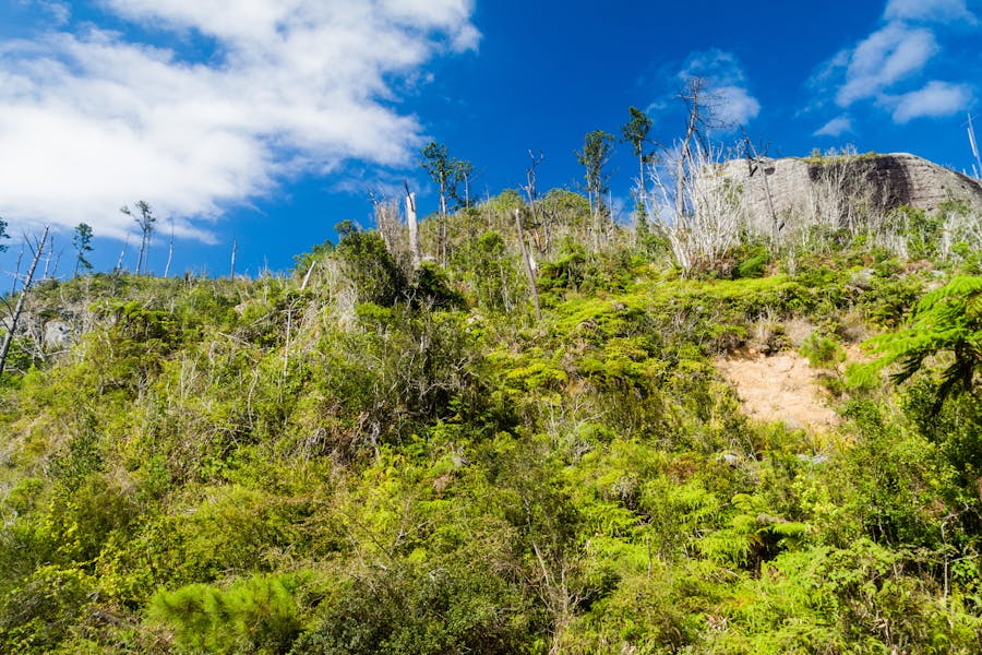 Mountain safari from Santiago