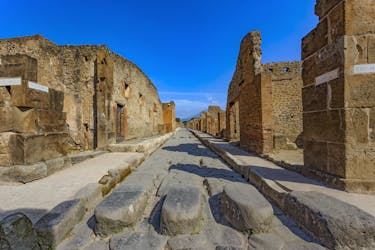 Bilhetes de entrada para as ruínas de Pompeia