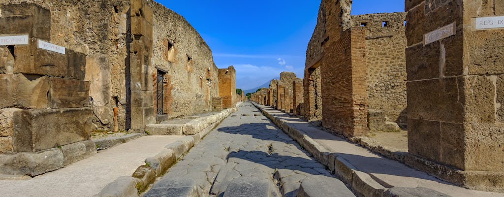 Entrance tickets to the Ruins of Pompeii