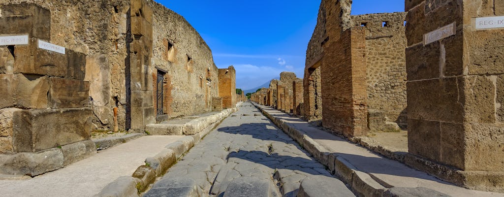 Billett til Pompeiis ruiner