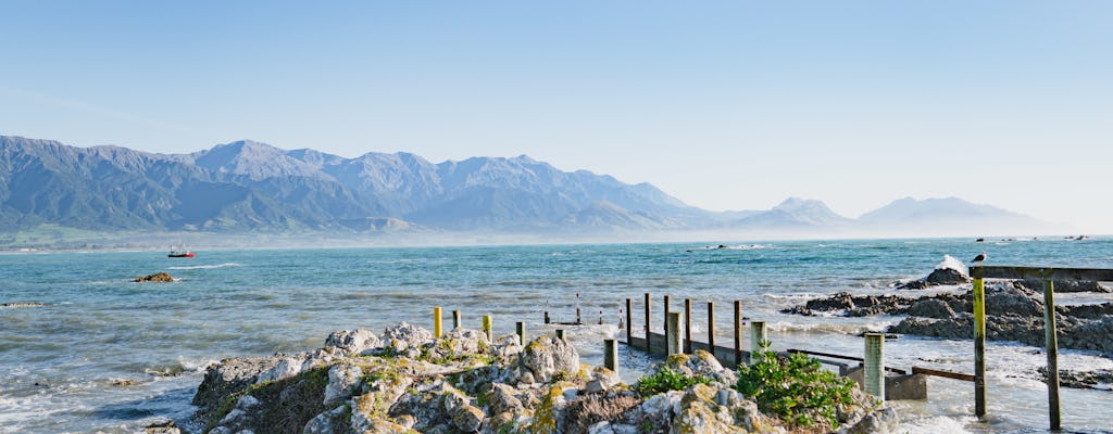Day trip or transfer from Christchurch to Kaikoura