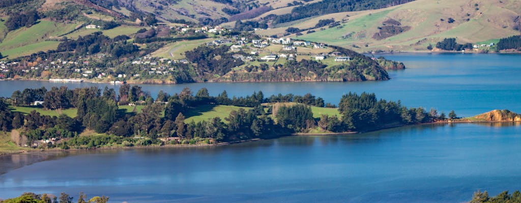Viagem de um dia a Akaroa saindo de Christchurch