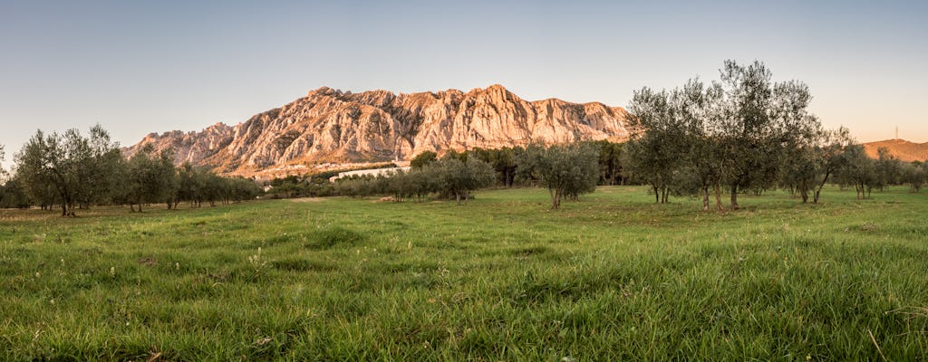 Excursión de un día en cava de pequeños grupos y cata de vinos desde Barcelona