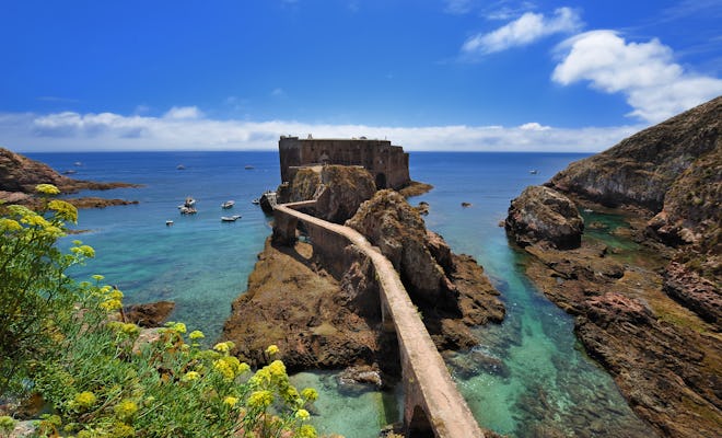 Private excursion to Berlengas Nature Reserve from Lisbon