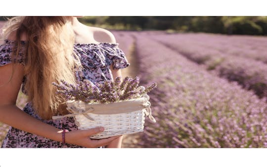 Lavendeltour van een hele dag in Sault vanuit Aix en Provence