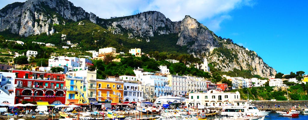 Odkryj Capri podczas prywatnej, całodniowej wycieczki