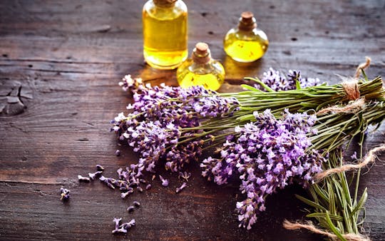 Lavender fields afternoon tour from Aix en Provence
