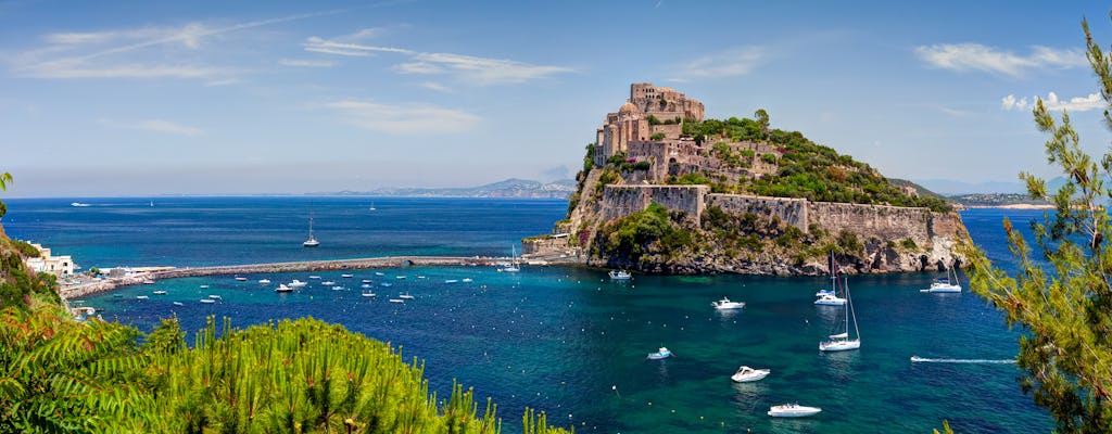 Excursion d'une journée à l'île d'Ischia avec déjeuner