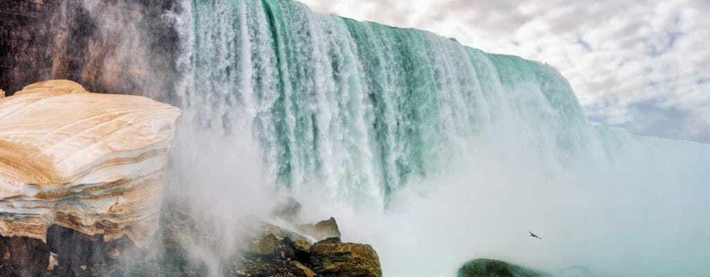 Niagara Falls State Park sightseeing tour with jetboat ride