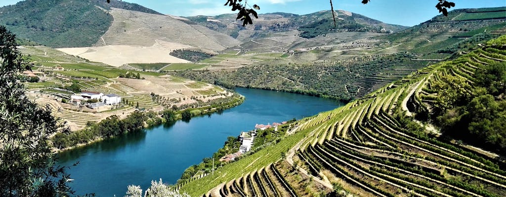 Tour per piccoli gruppi nella valle del Douro con degustazione di vini e pranzo da Porto