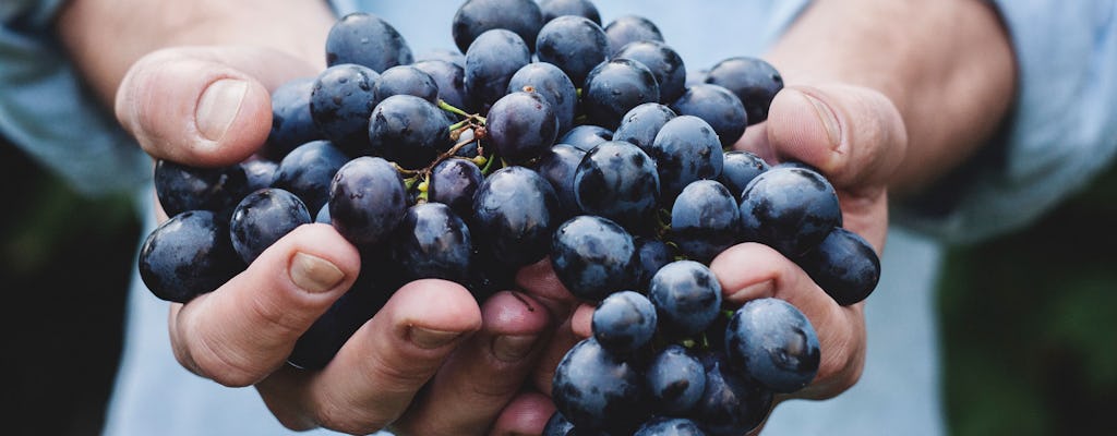 Wycieczka po winogronach w Dolinie Douro