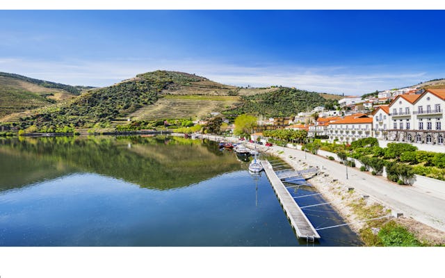 Tour relaxante no Vale do Douro com saída do Porto