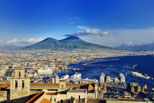 Full-day private tour of Naples from Rome with driver and lunch