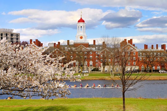 Eten rondleiding door Harvard Square