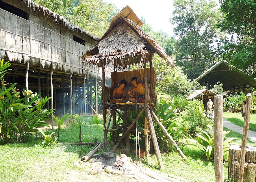 Деревня мари мари. Деревни племён Индии. Sabah: mari mari Cultural Village. Махаянские племя деревня. Mari-mari (Мари-Мари) как растет дерево.