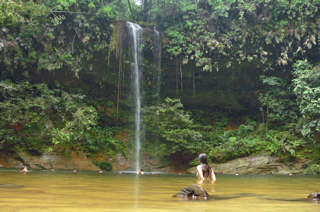 Lambir Hills National Park Tour