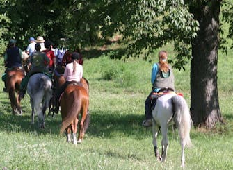 Sport e divertimento con la famiglia in una fattoria Sport e divertimento con la famiglia in una fattoria