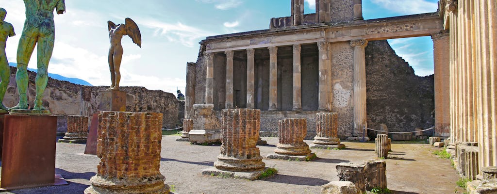 Круглого поездки Рим-Помпеи с проходом без очереди билеты и аудиогид