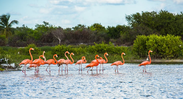 4 jours d'écotourisme au Yucatán