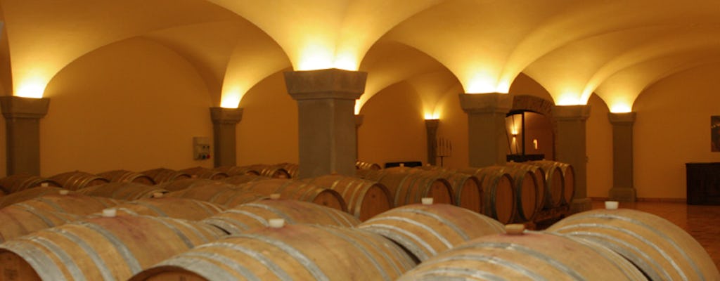 Visita alla cantina e degustazione di vini presso Tenuta Luisa - Percorso Edmida