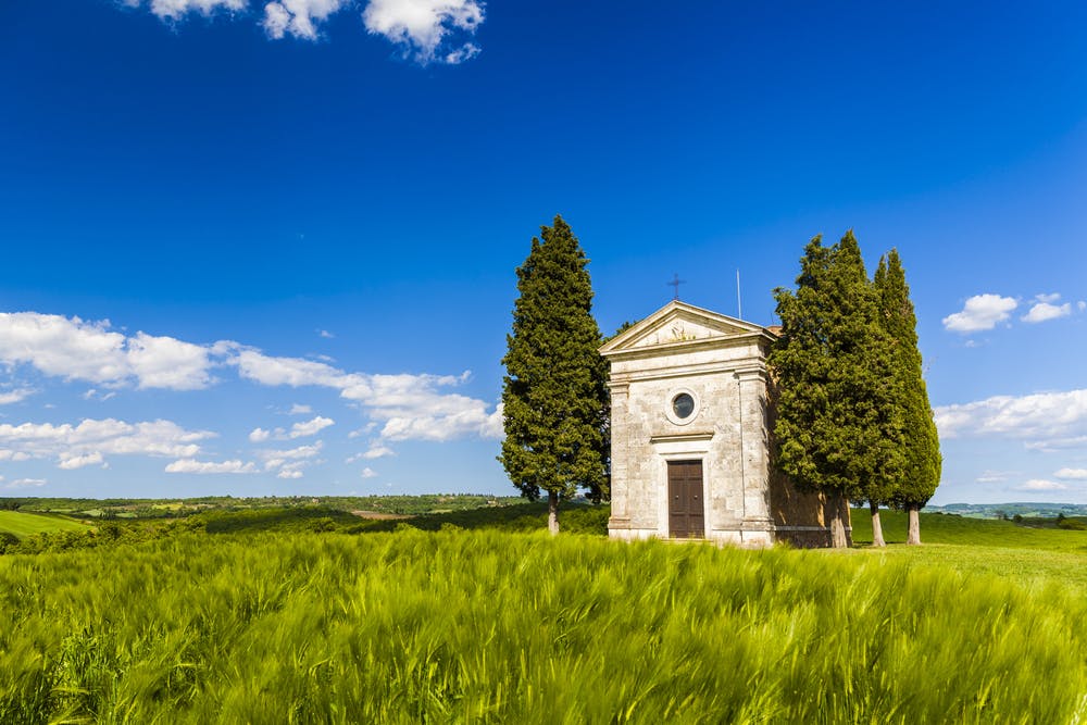 The ultimate foodie tour of Val d'Orcia from Florence