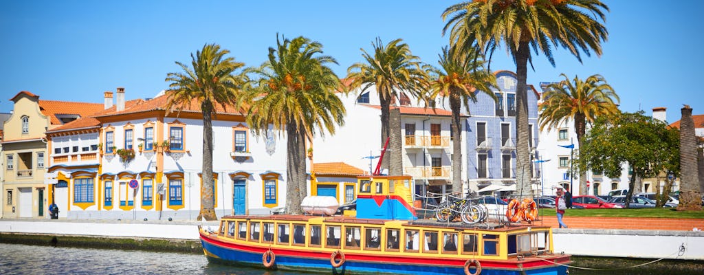 Aveiro and Coimbra small group tour from Porto