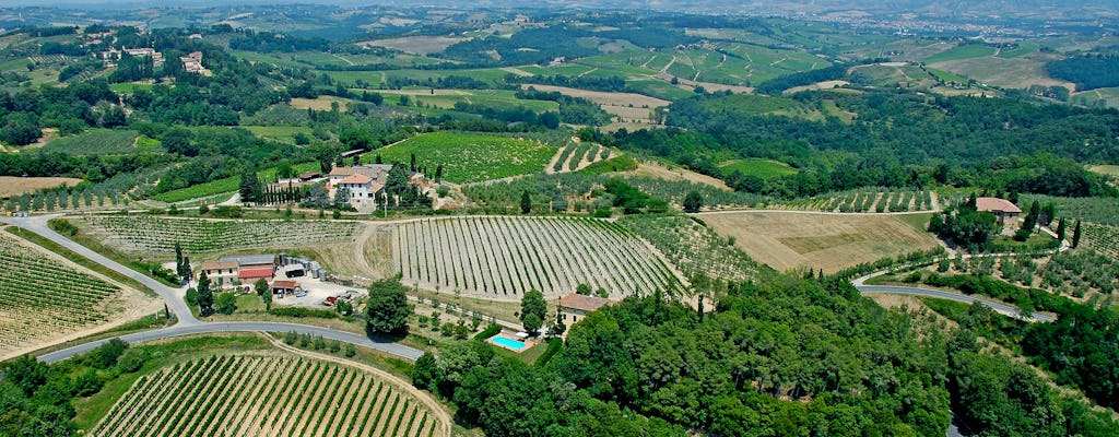 Maxi Wine Tour in San Quirico winery