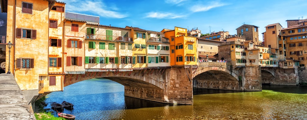 Florence walking tour with Chianti aperitif from Milan with Accademia or Uffizi Gallery (optional)