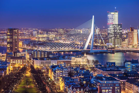 Excursión en grupo a Rotterdam y La Haya