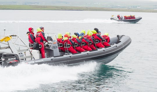 Tromso archipelago RIB-boat excursion