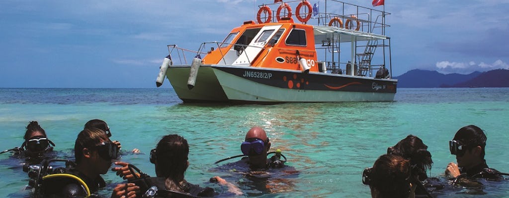 Scuba Diving For Non-Cert Diver in TARP Island