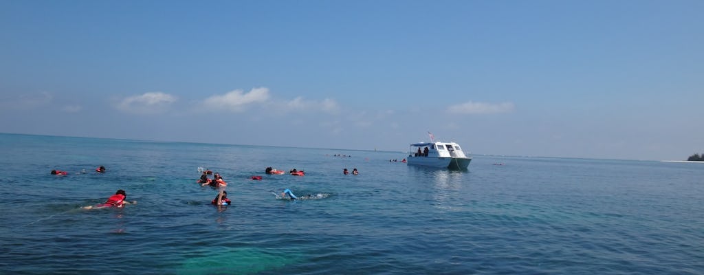 Snorkelling na Ilha Mengalum com almoço