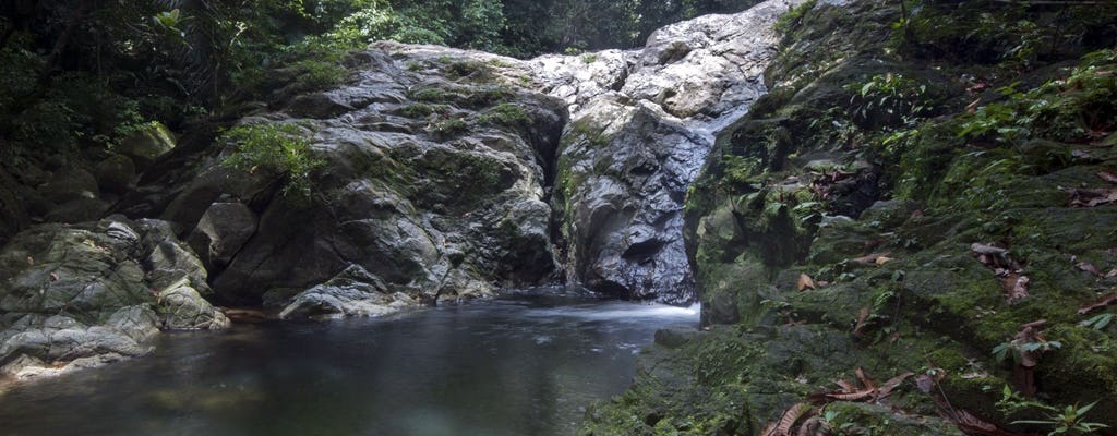 Sekayu Waterfall & Terrapin Conservation Centre Tour