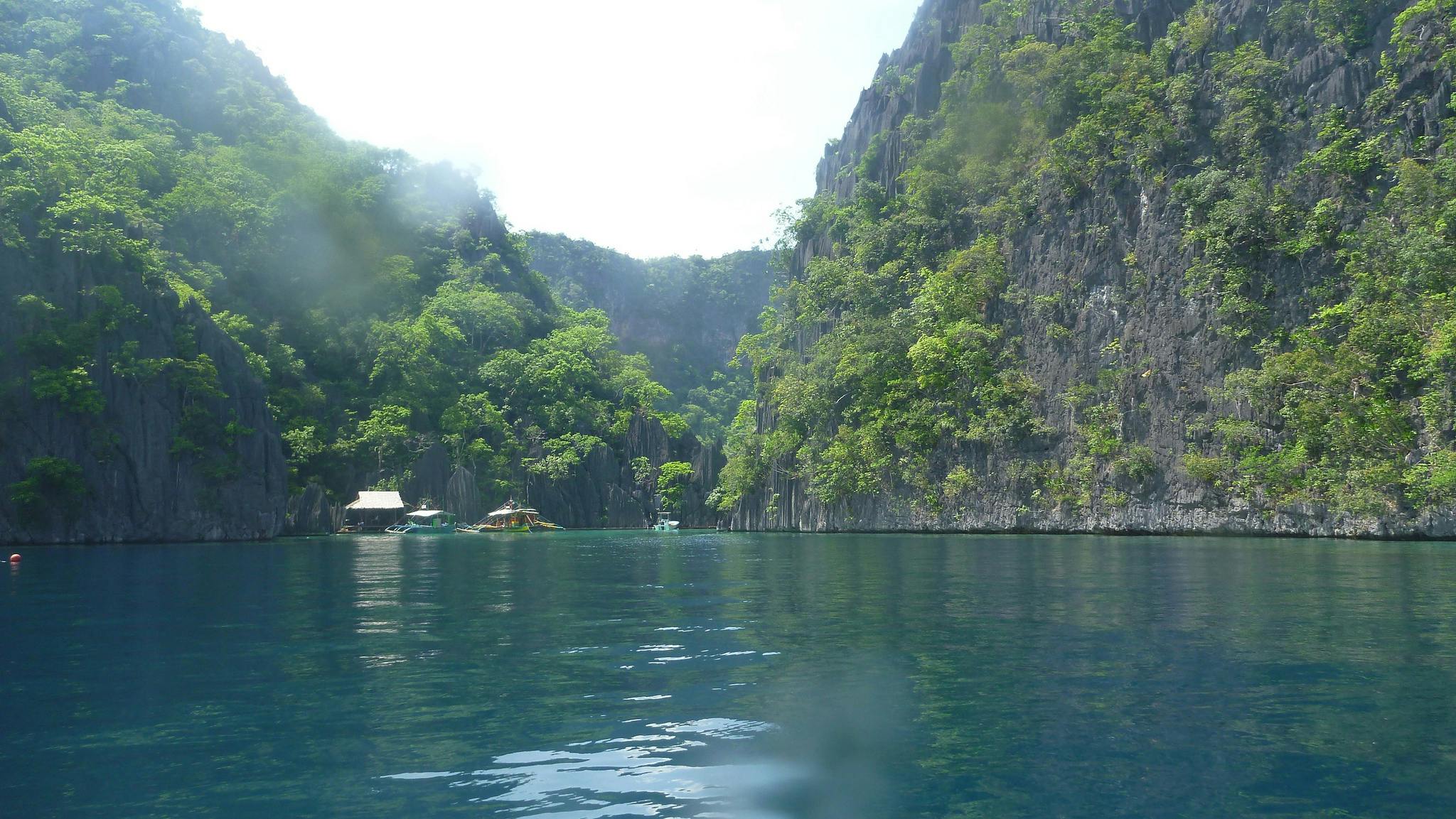 Download Barracuda Lake Sharks Images