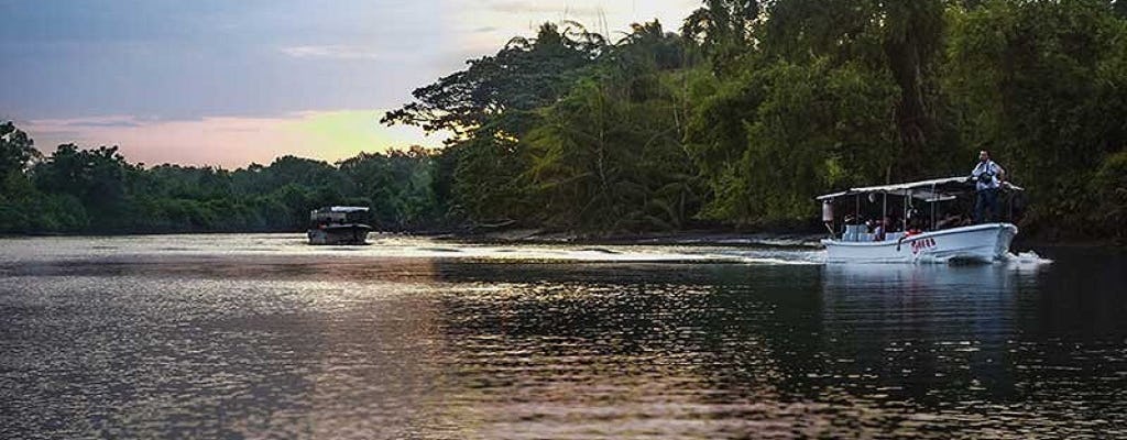 Kawa Kawa Wildlife and Fireflies River Cruise
