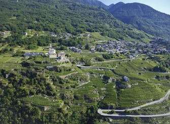 Tour con autista dei Terrazzamenti Retici con degustazione di 3 vini tipici Tour con autista dei Terrazzamenti Retici con degustazione di 3 vini tipici