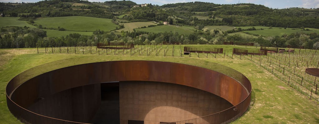VIP Chianti classic and Supertuscan wine tour with lunch