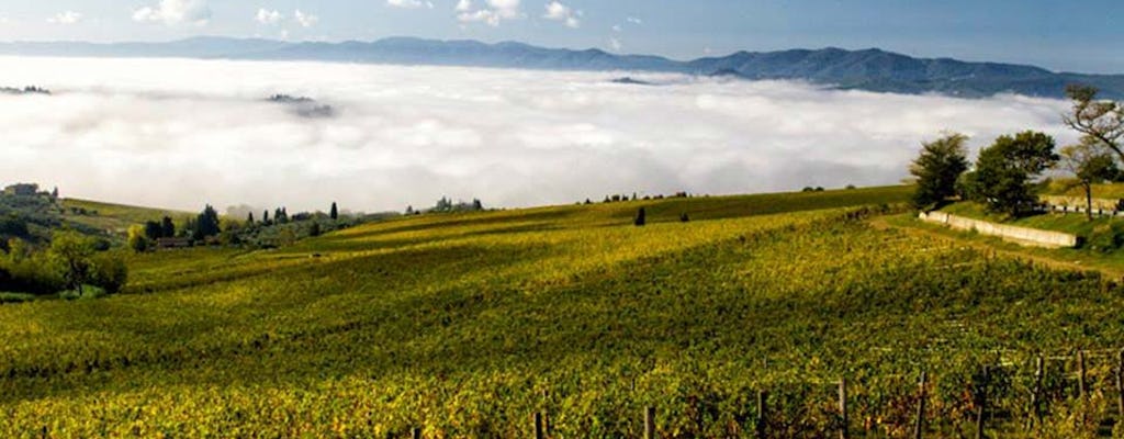 Tour de Chianti con visita a una bodega orgánica y degustación de vinos especiales