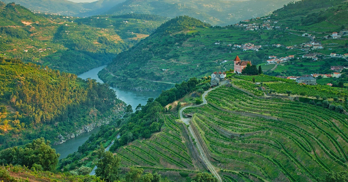 Douro Valley Tours and Activities from Porto  musement