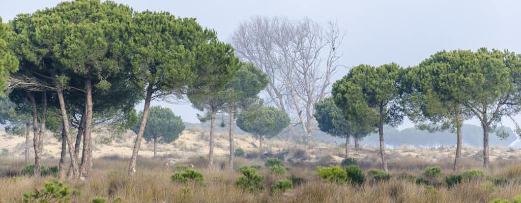 Park Narodowy Doñana