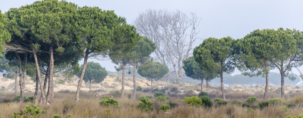 Doñana Nationalpark