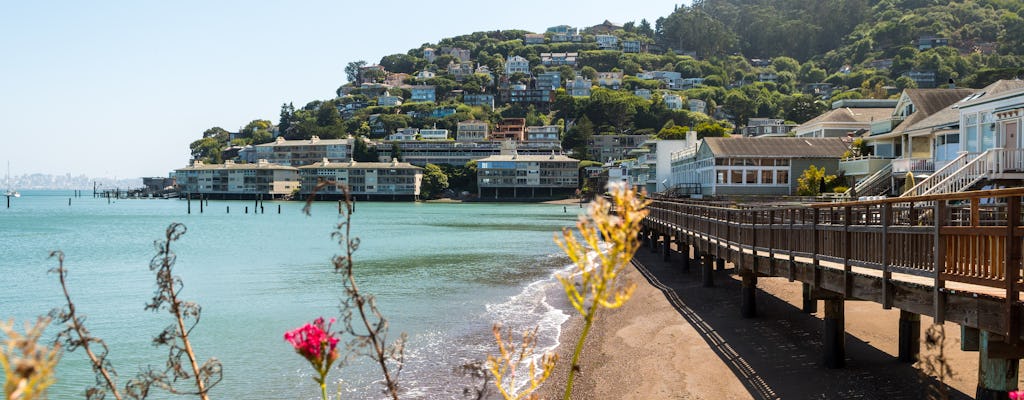 Tour di mezza giornata di Muir Woods e Sausalito