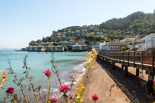 Tour di mezza giornata di Muir Woods e Sausalito