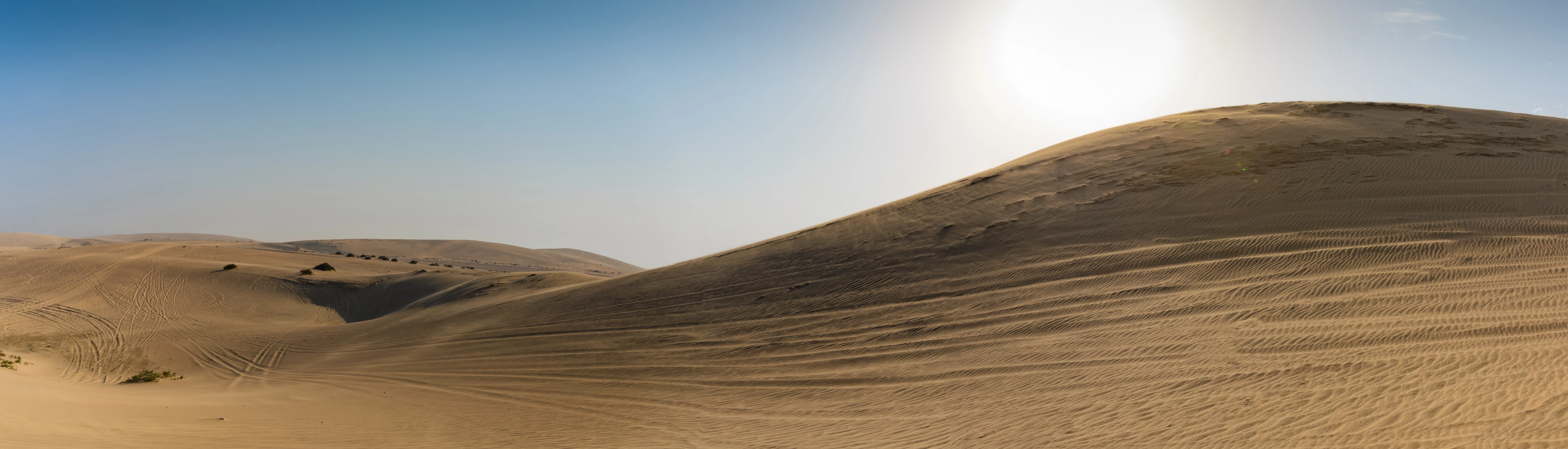 Qatar Desert
