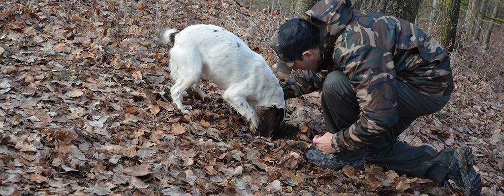 Traditional Langhe truffle hunting